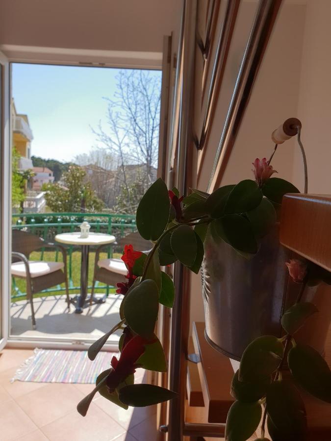 Apartments Skocic Водице Экстерьер фото