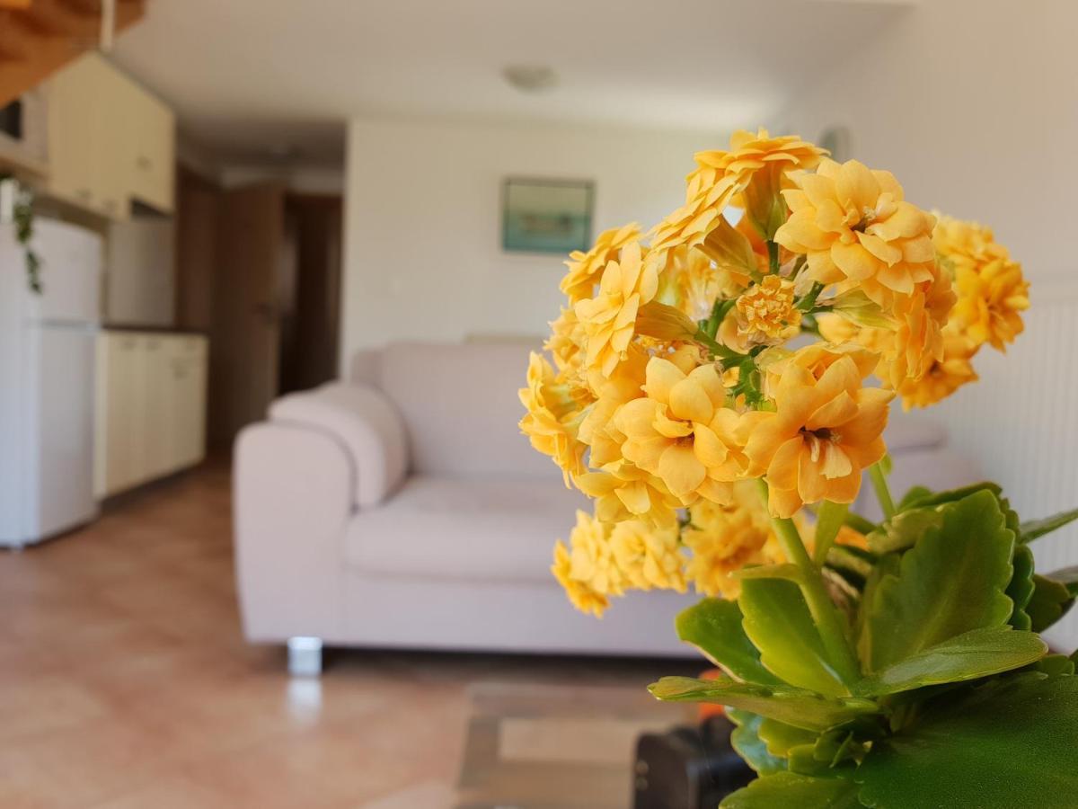 Apartments Skocic Водице Экстерьер фото