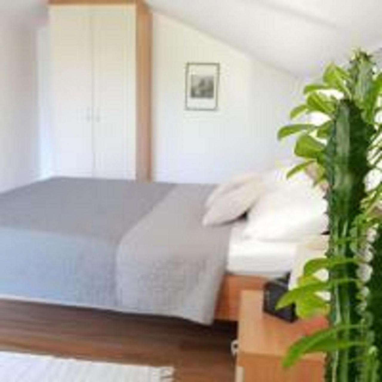 Apartments Skocic Водице Экстерьер фото